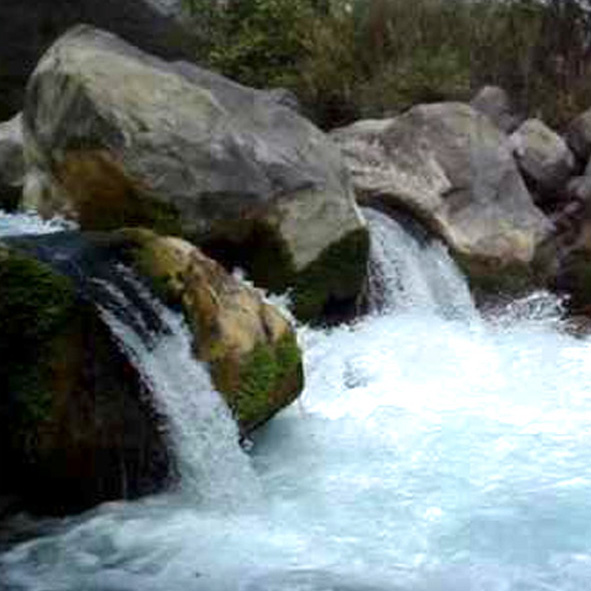 Manantial los Nogales